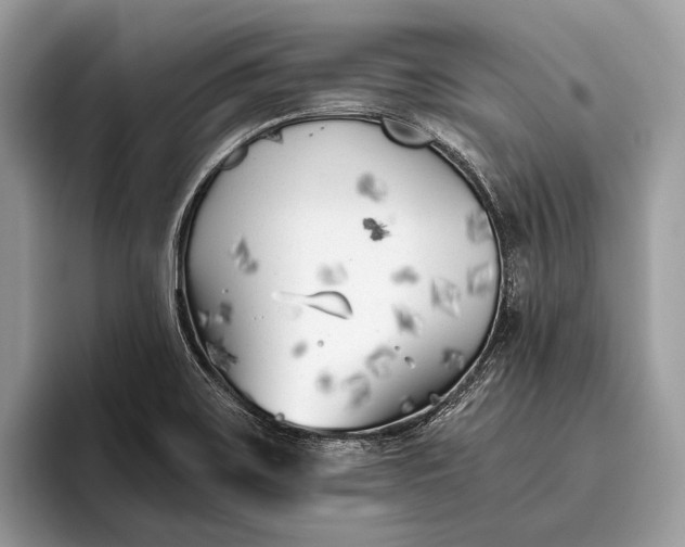 X0000095911467200801251000