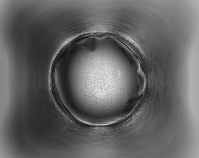 X0000095911469200801251000