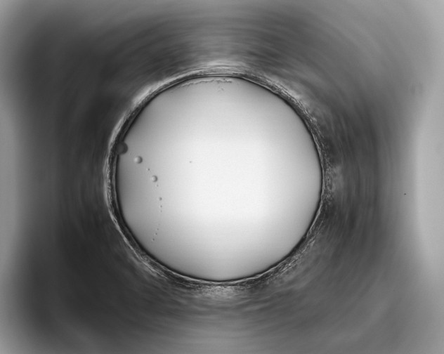 X0000095911470200801251000