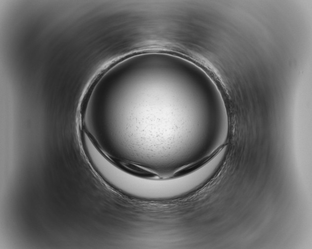 X0000095911472200801251000