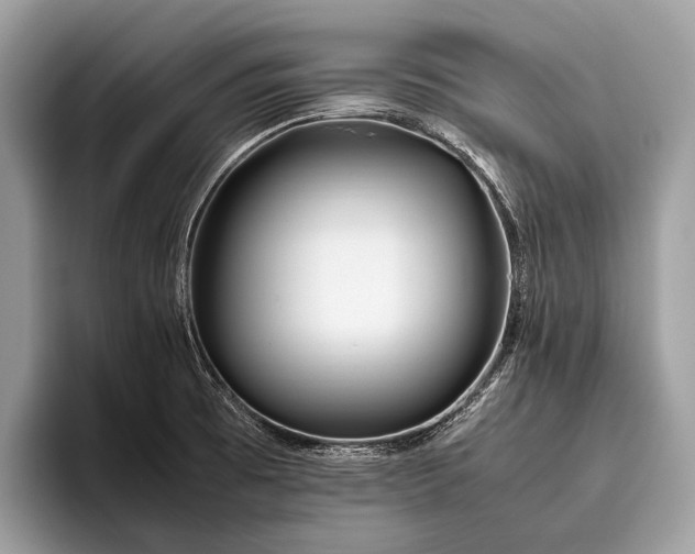 X0000095911473200801251000