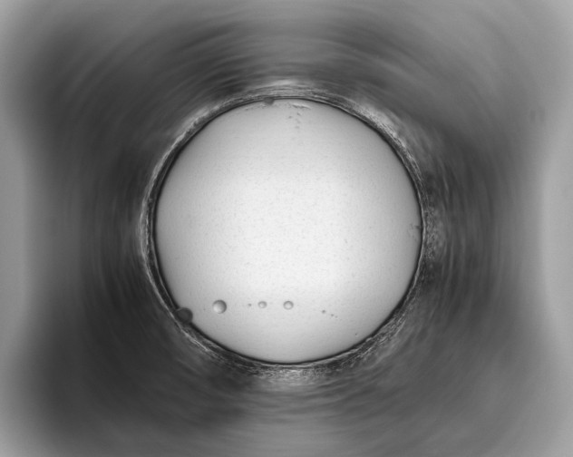 X0000095911474200801251000