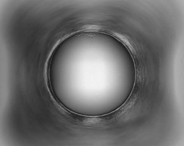 X0000095911475200801251000