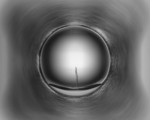 X0000095911476200801251000