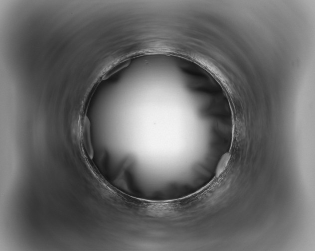 X0000095911477200801251000