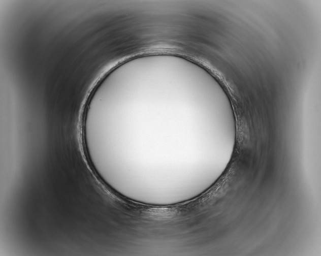 X0000095911478200801251000