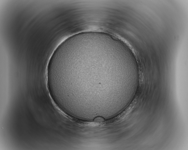 X0000095911479200801251000