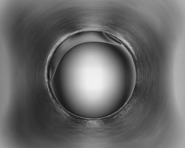 X0000095911480200801251000