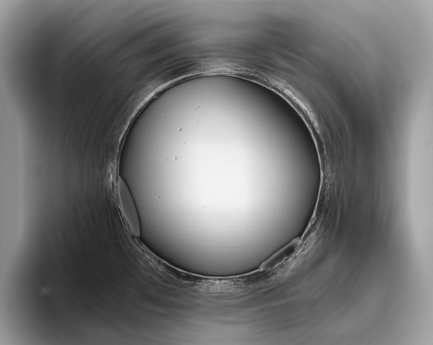 X0000095911481200801251000