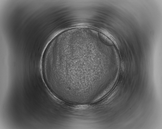 X0000095911482200801251000