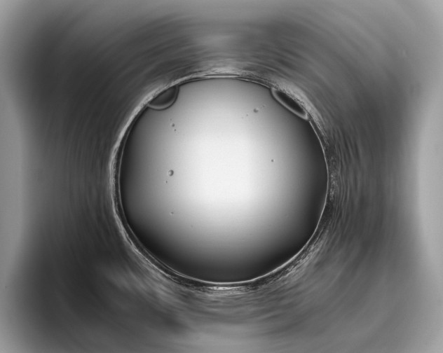 X0000095911483200801251000