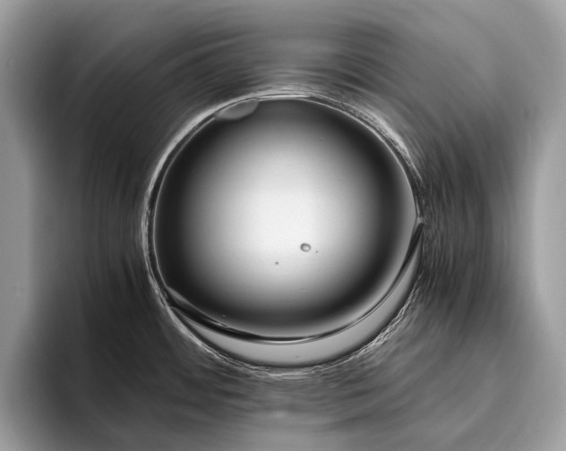 X0000095911484200801251000