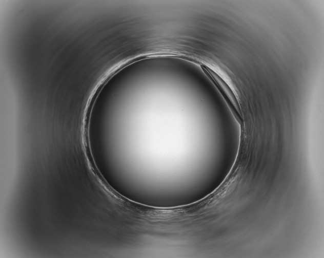 X0000095911485200801251000