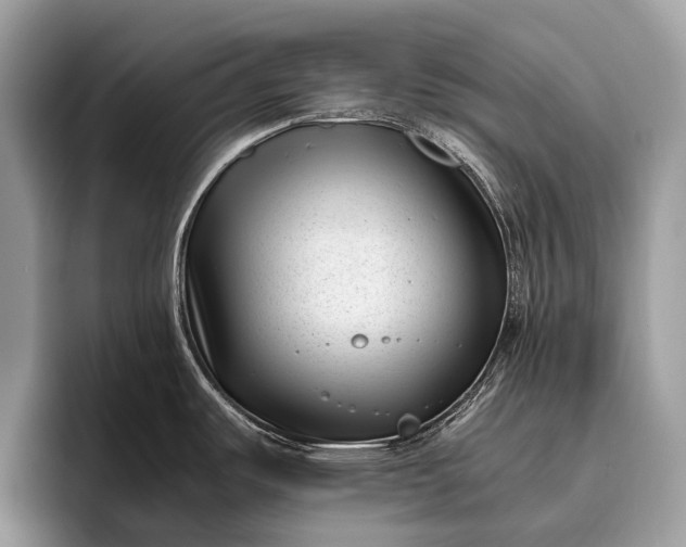 X0000095911487200801251000