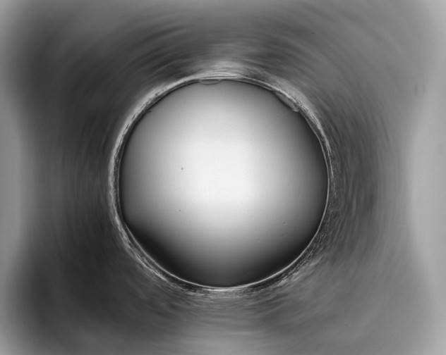 X0000095911488200801251000