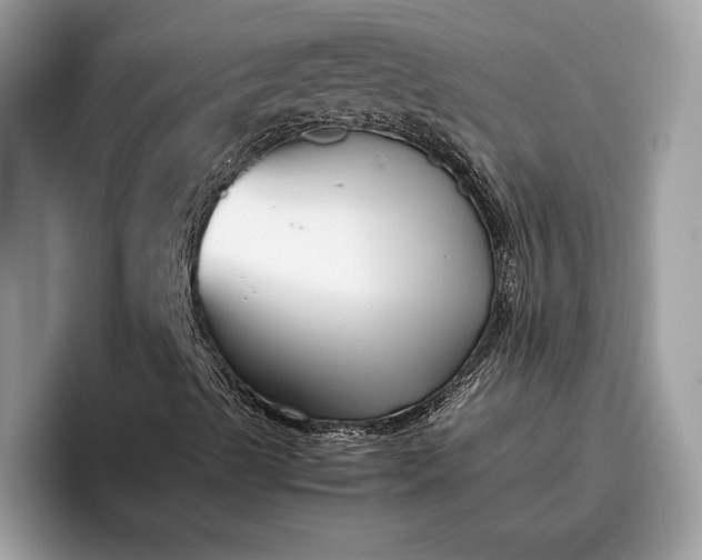 X0000095911489200801250959