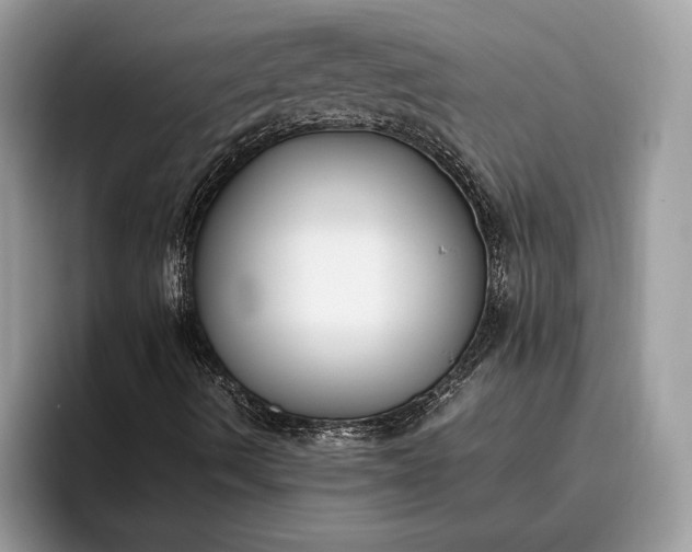 X0000095911490200801250959