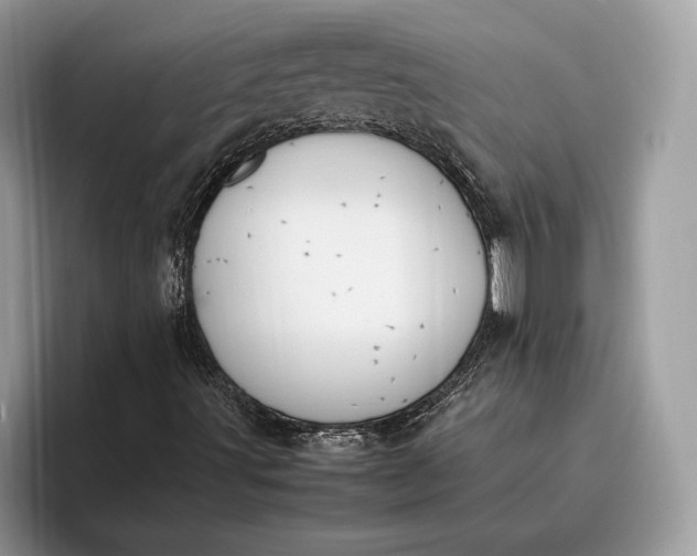 X0000095911491200801250959