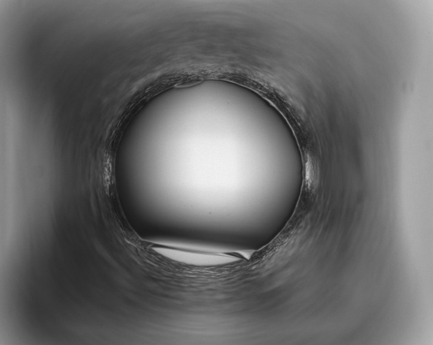 X0000095911492200801250959