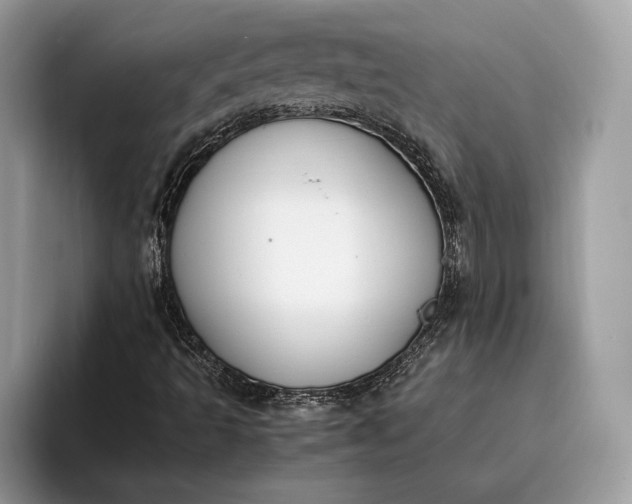 X0000095911493200801250959