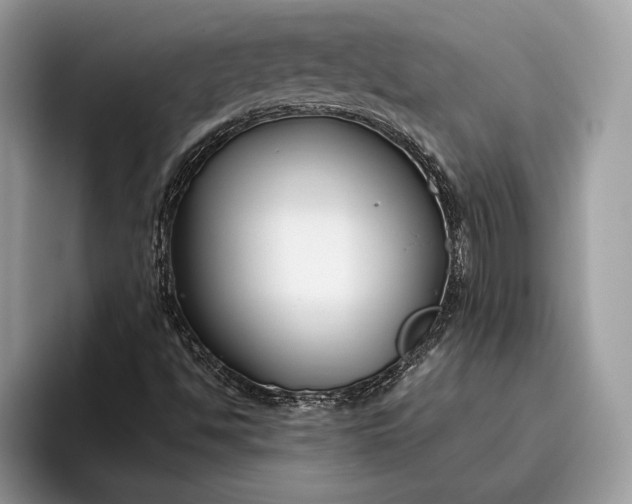 X0000095911494200801250959