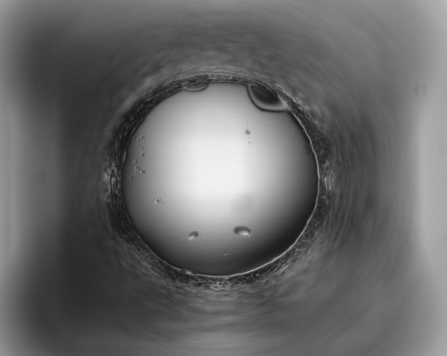 X0000095911495200801250959