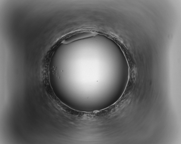 X0000095911496200801250959