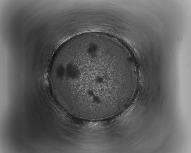 X0000095911497200801250959