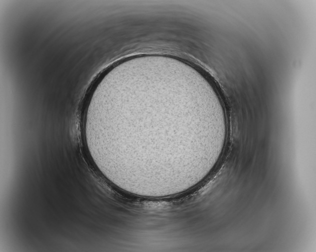 X0000095911498200801250959