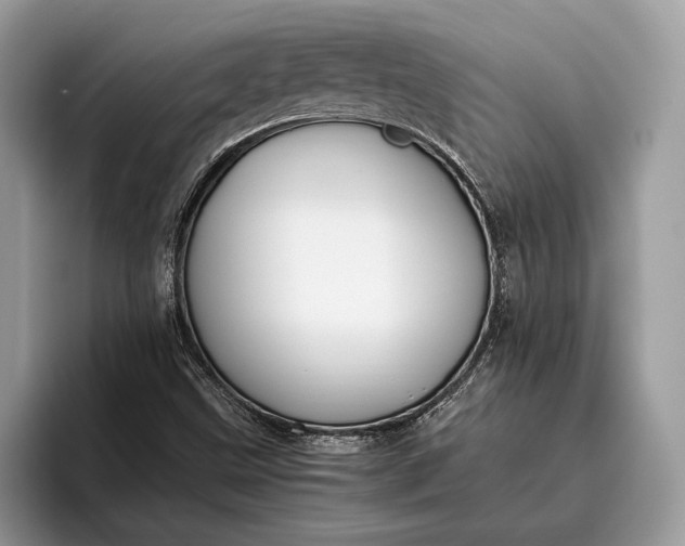 X0000095911499200801250959