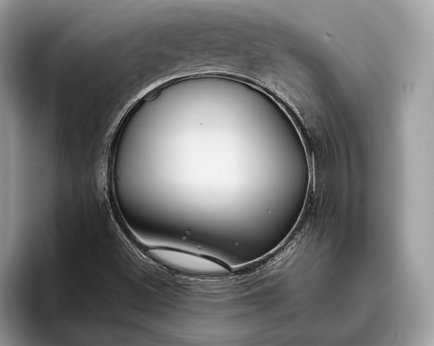 X0000095911500200801250959