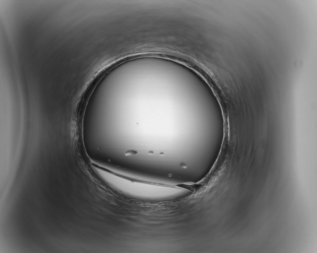 X0000095911501200801250959