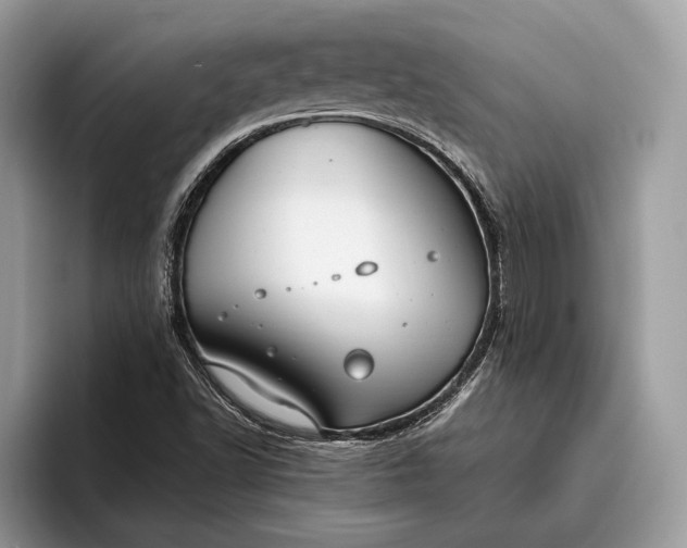 X0000095911502200801250959