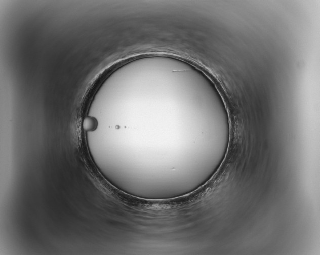 X0000095911503200801250959