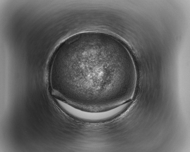 X0000095911506200801250959