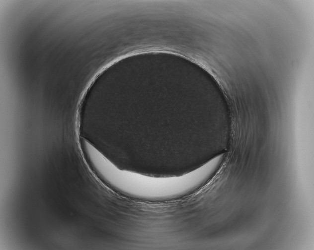 X0000095911508200801250959