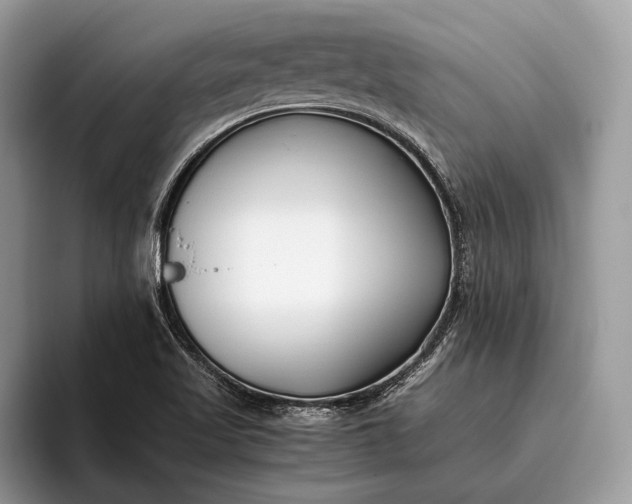 X0000095911509200801250959