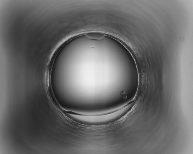 X0000095911510200801250959