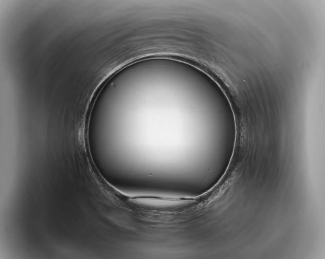 X0000095911513200801250959