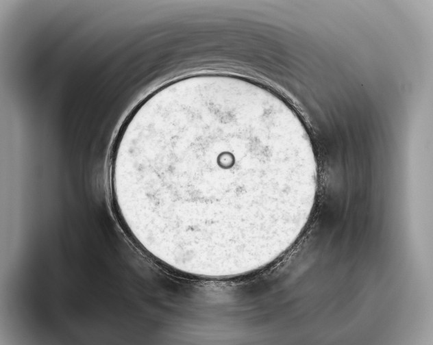 X0000095911514200801250959