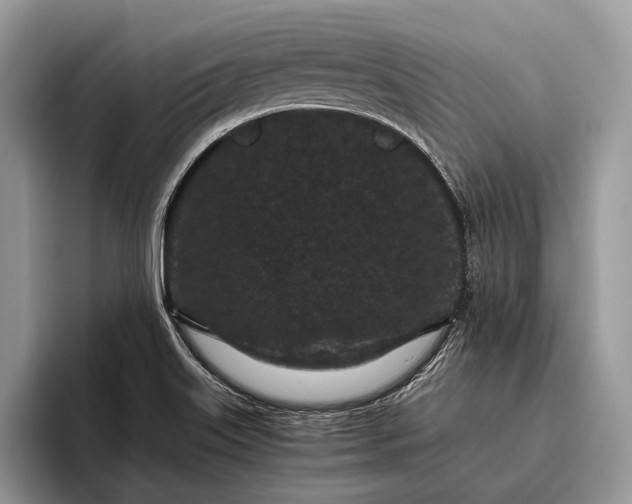 X0000095911515200801250959