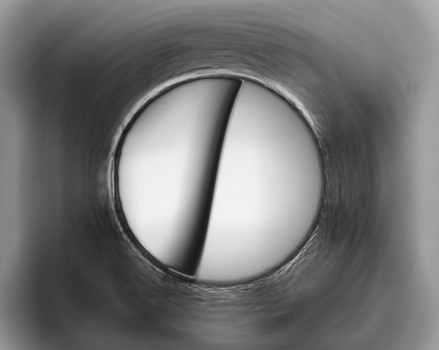 X0000095911516200801250959