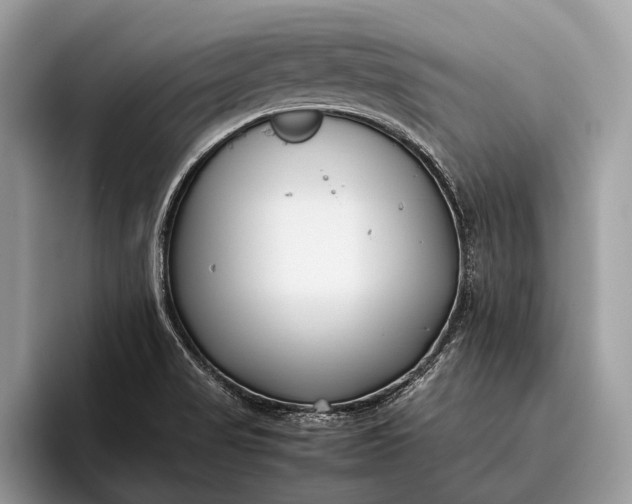 X0000095911517200801250959