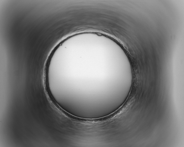 X0000095911518200801250959