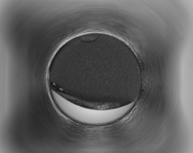 X0000095911519200801250959