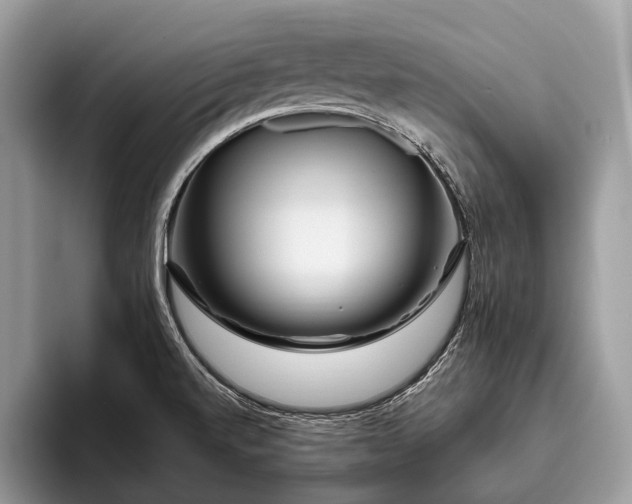 X0000095911520200801250959