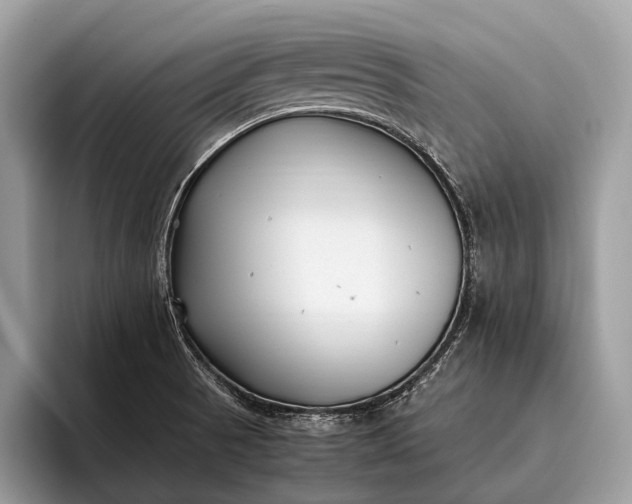 X0000095911521200801250959