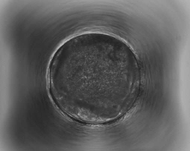 X0000095911522200801250959