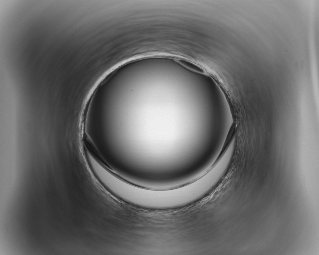 X0000095911524200801251000