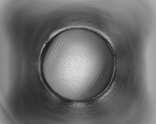 X0000095911525200801251000